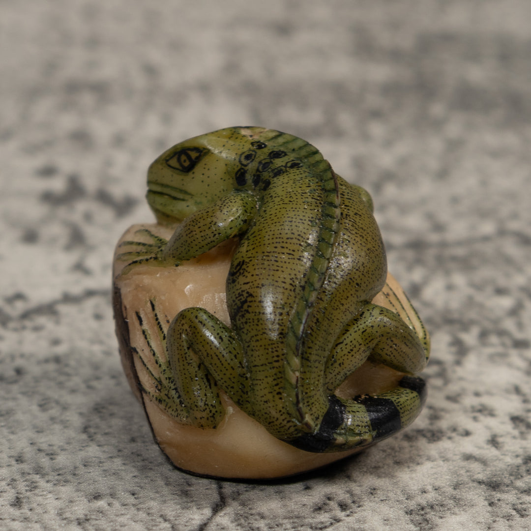 Green And Black Iguana Lizard Tagua Carving