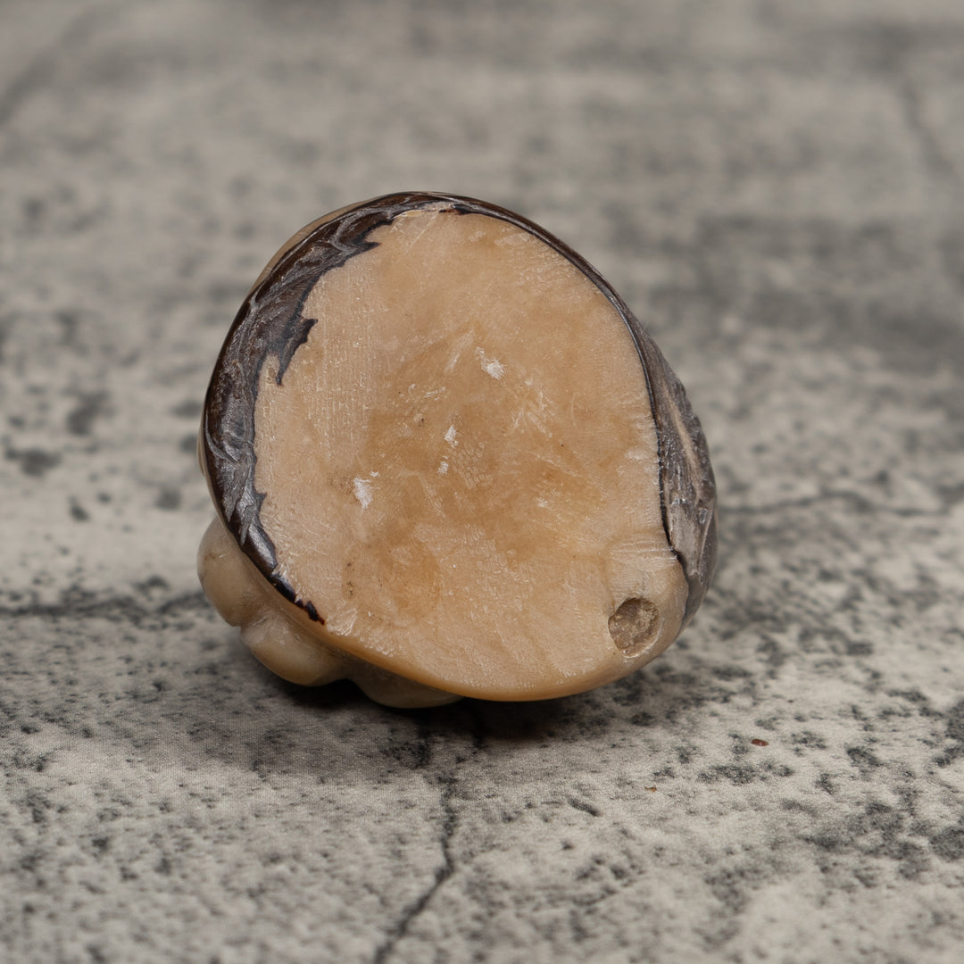 Vintage White Natural Insect Tagua Carving