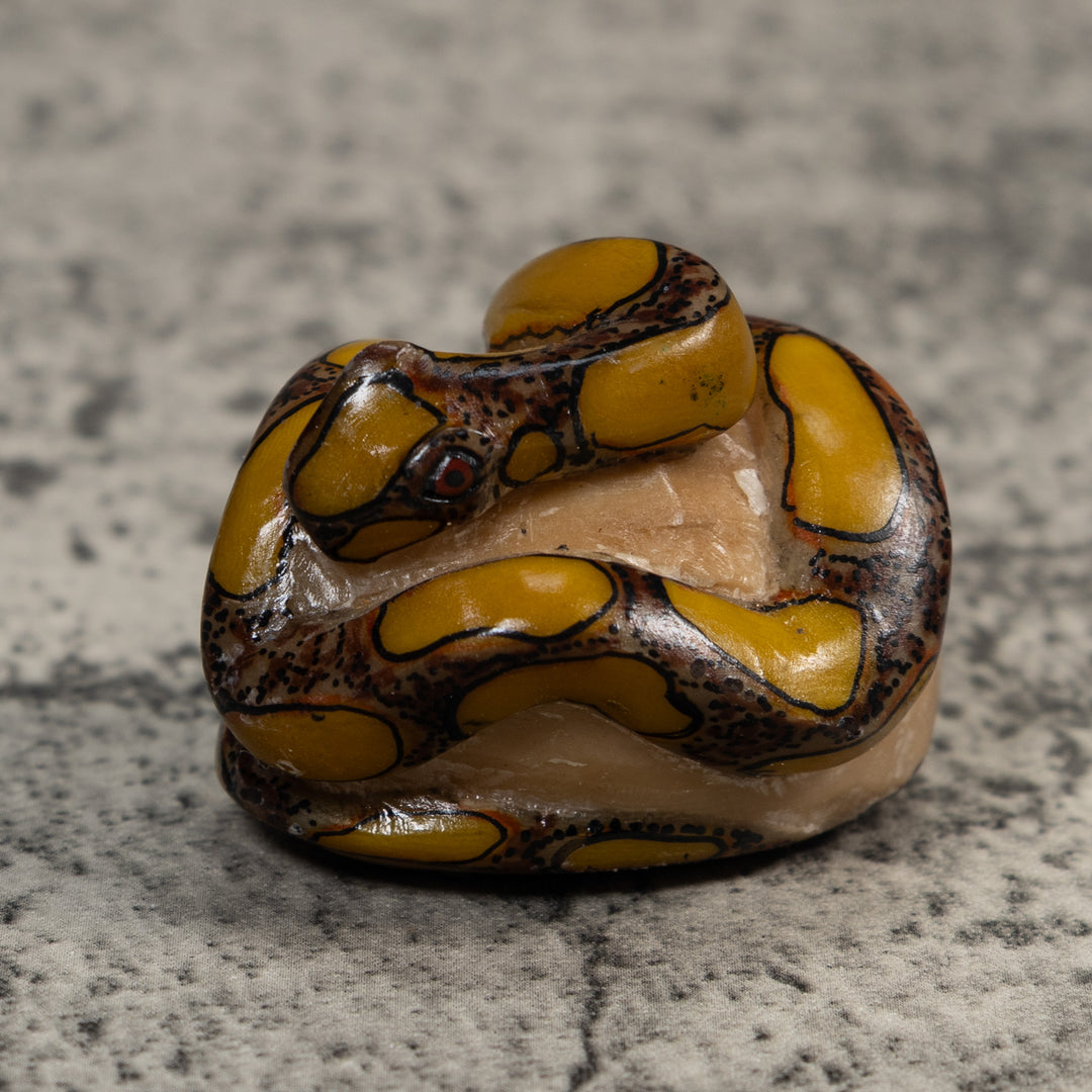 Yellow And Brown Snake Bushmaster Tagua Carving