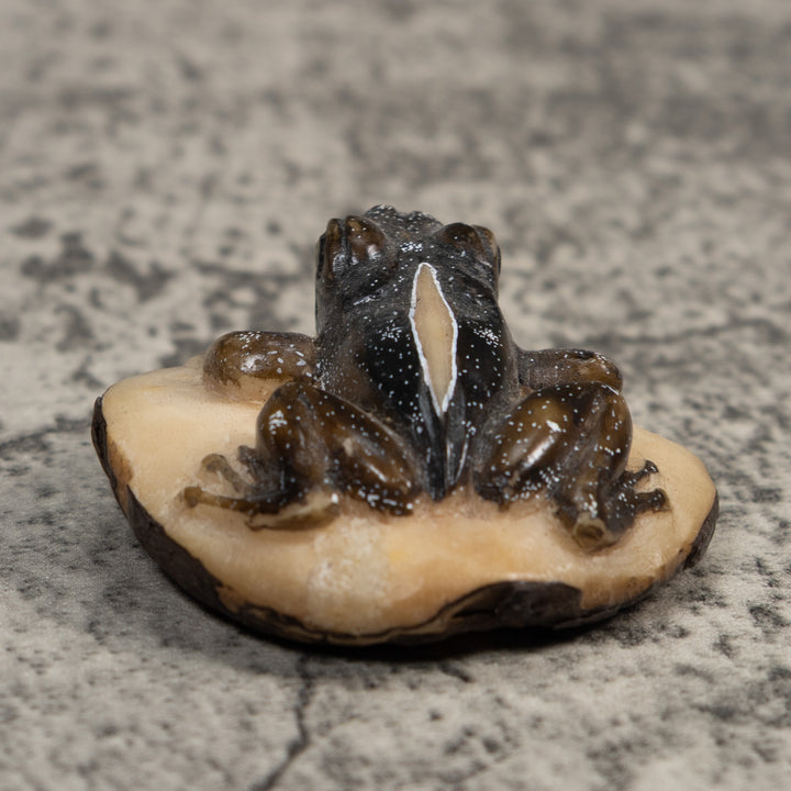 Brown Poison Dart Frog Tagua Carving