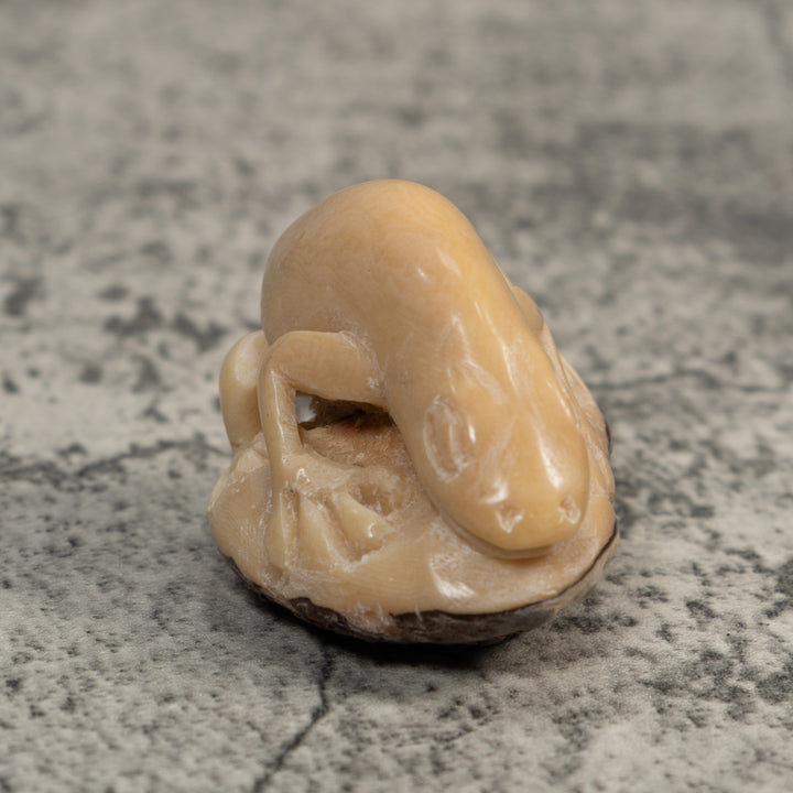 Vintage White Natural Frog Tagua Carving