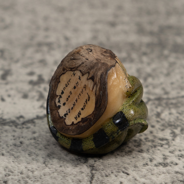 Green And Black Iguana Lizard Tagua Carving