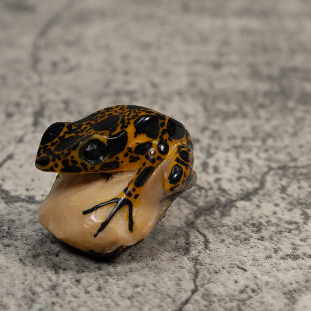 Brown And Black Poison Dart Frog Tagua Carving