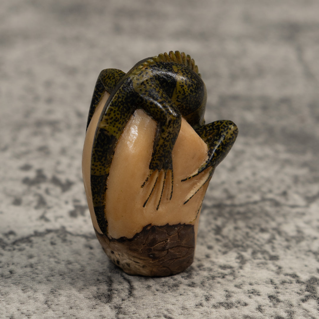 Vintage Green And Black Iguana Lizard Tagua Carving