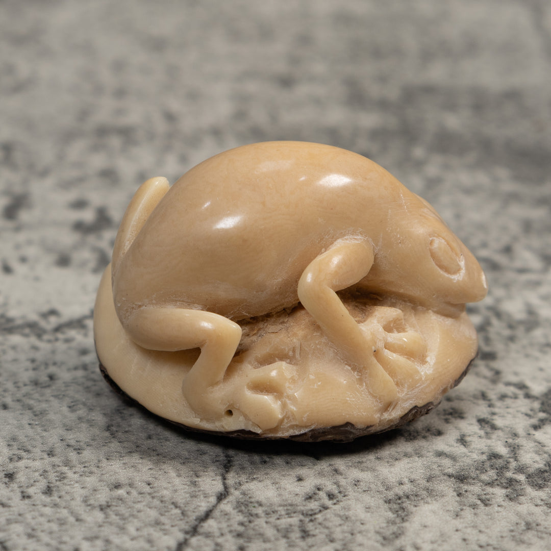 Vintage White Natural Frog Tagua Carving