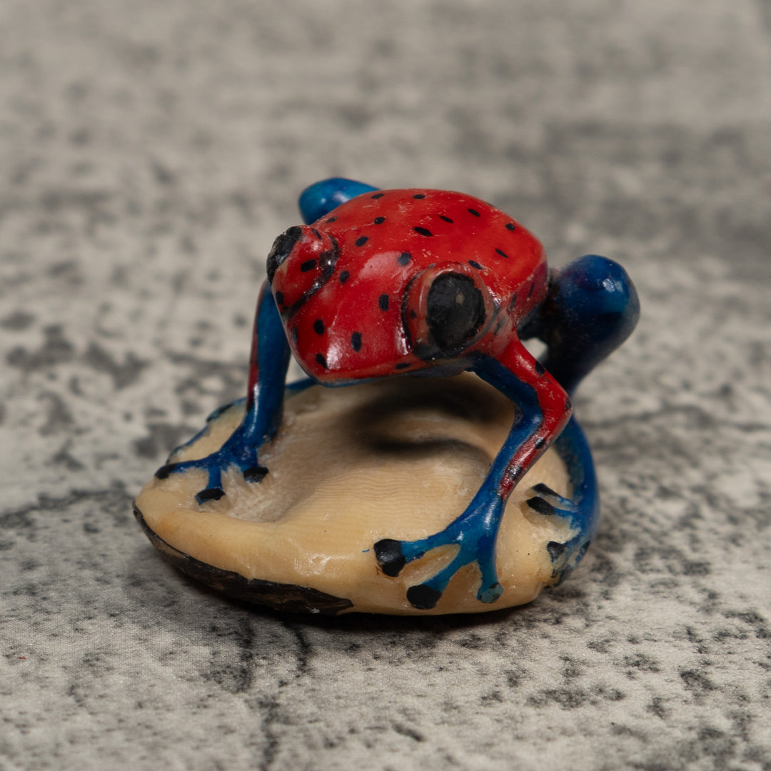 Red And Blue Undercut Poison Dart Frog Tagua Carving