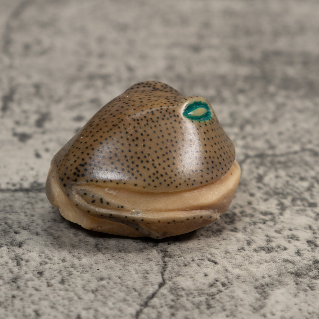 Ocean Stingray Tagua Carving