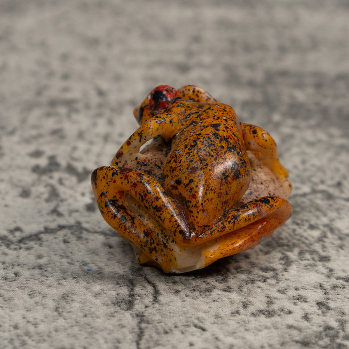Red And Black Sprinkled Poison Dart Frog Tagua Carving