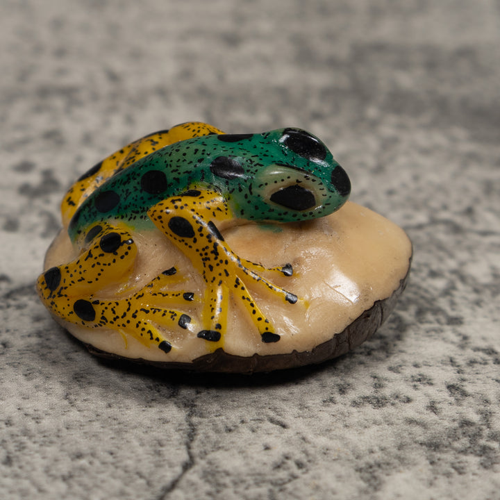 Vintage Yellow And Green Frog Tagua Carving