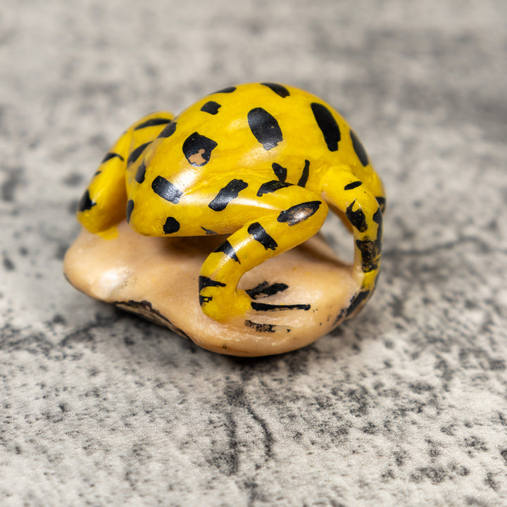 Vintage Poison Dart Frog Tagua Carving