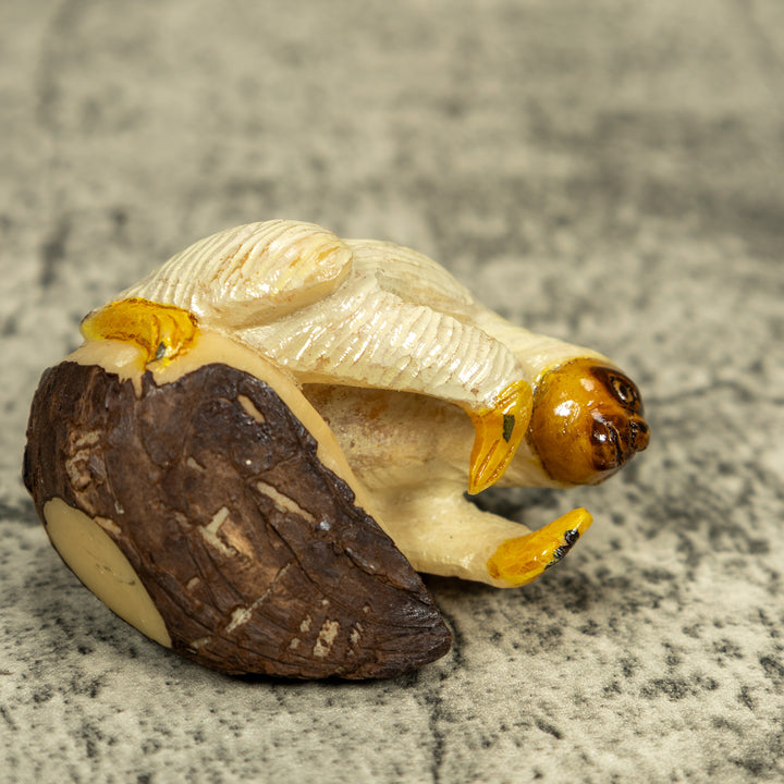 White And Brown Sloth Tagua Carving