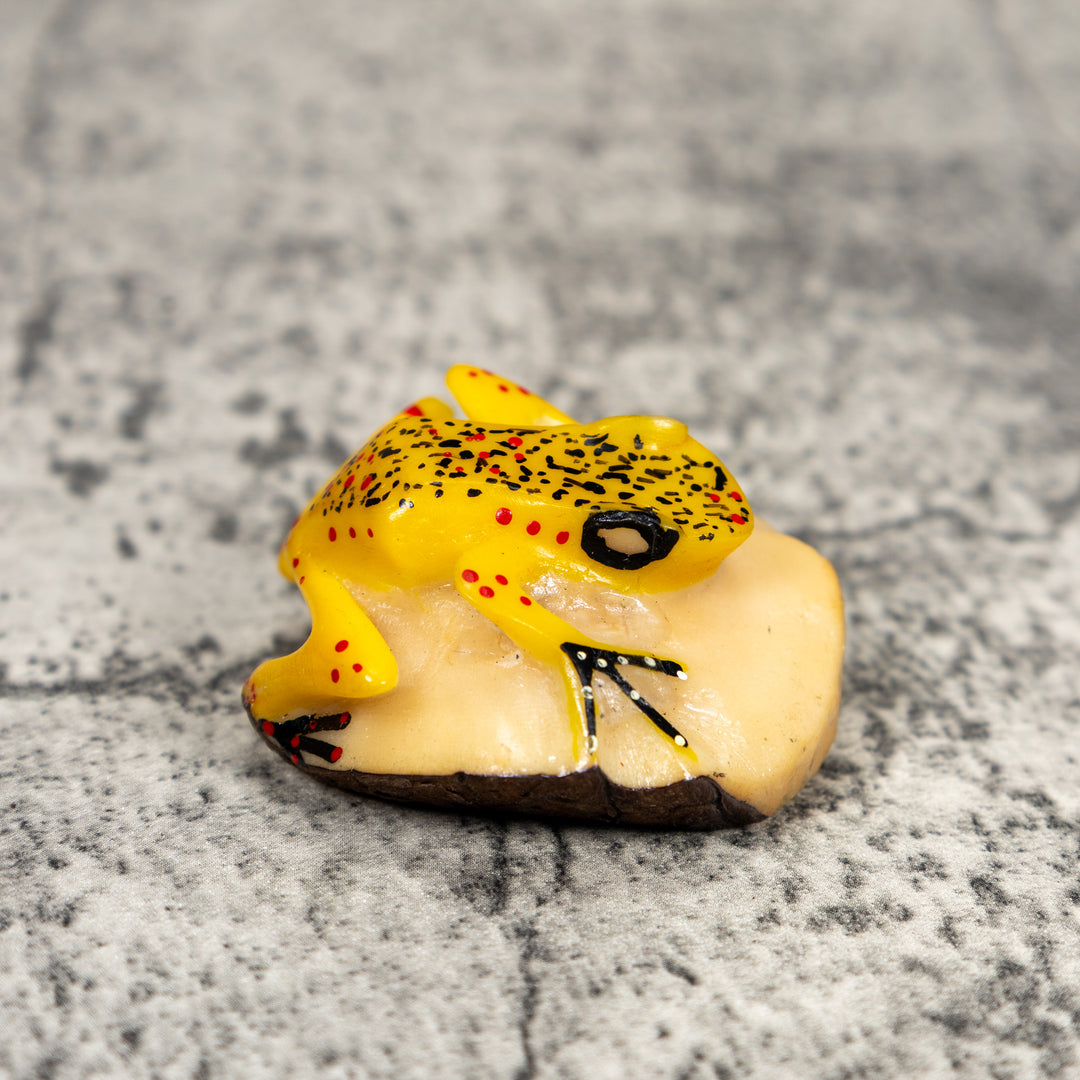 Yellow Poison Dart Frog Tagua Carving