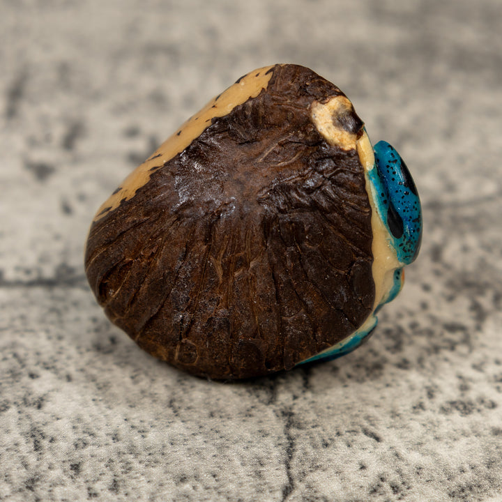 Orange And Blue Poison Dart Frog Tagua Carving