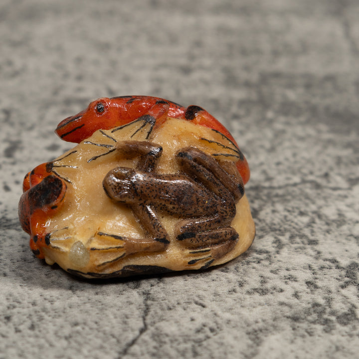 Double Red And Black Poison Dart Frog Tagua Carving