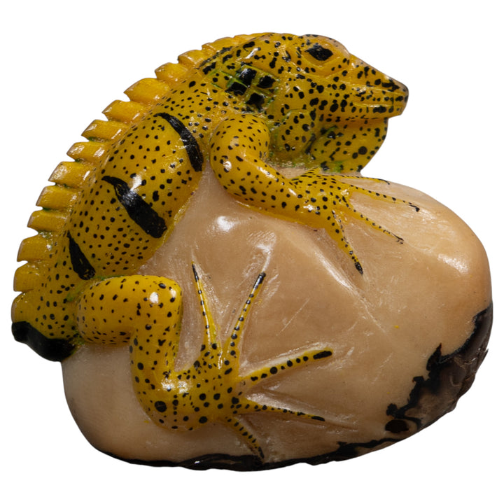Magnificent Iguana Lizard Tagua Carving