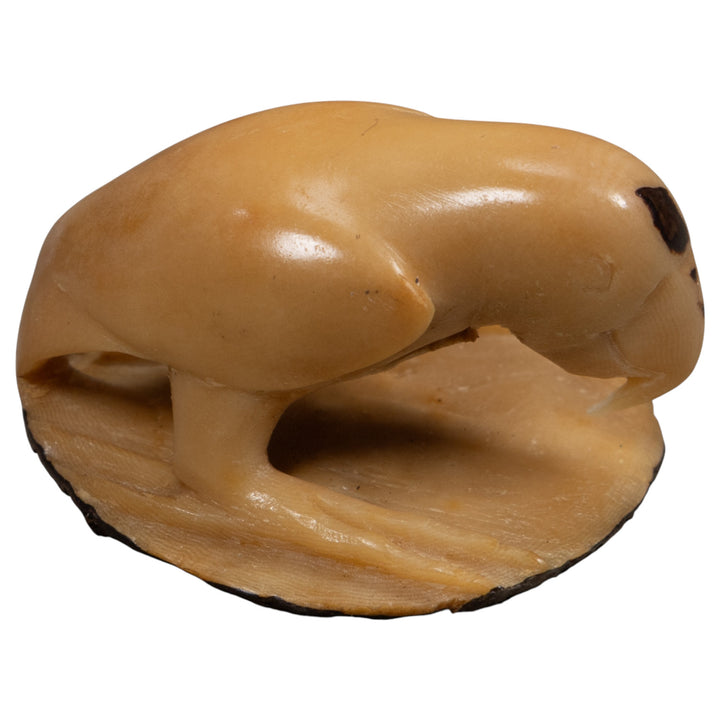 Vintage White Parrot Bird Tagua Carving