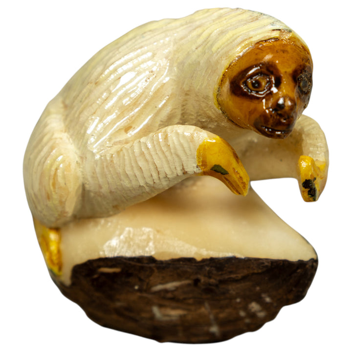 White And Brown Sloth Tagua Carving