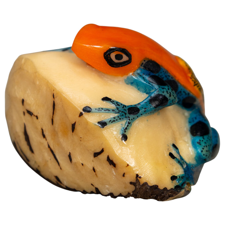 Orange And Blue Poison Dart Frog Tagua Carving