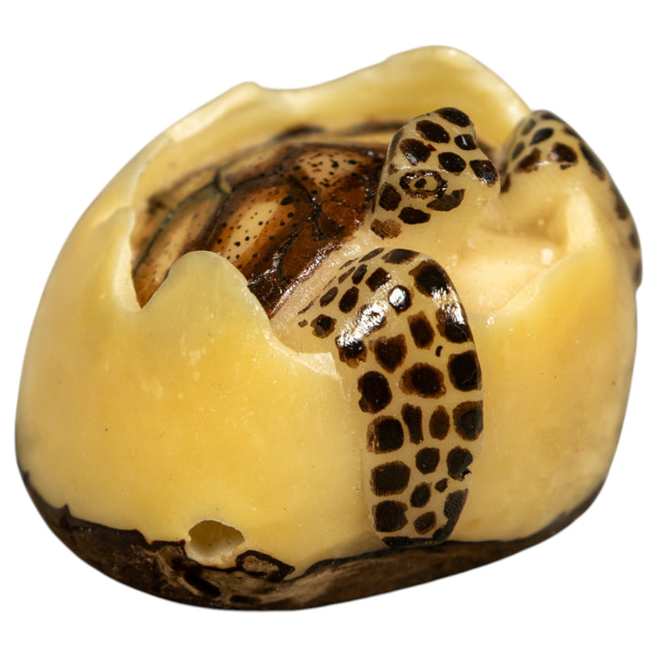 Black And Brown Sea Turtle Emerging From Egg Tagua Carving