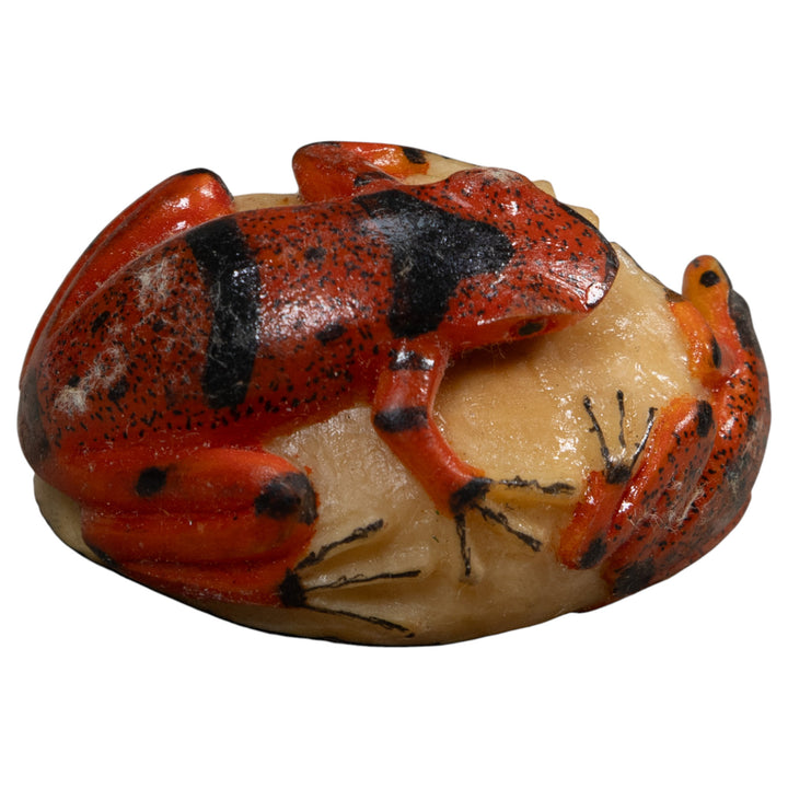 Double Red And Black Poison Dart Frog Tagua Carving