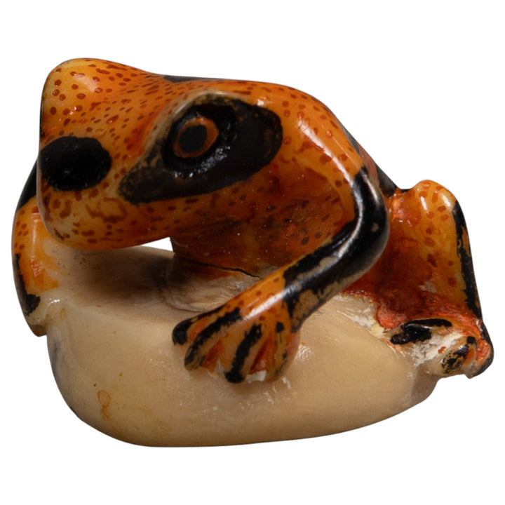 Vintage Poison Dart Frog Tagua Carving
