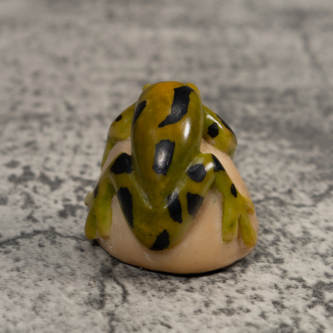 Vintage Green And Black Poison Dart Frog Tagua Carving