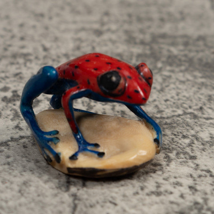Red And Blue Undercut Poison Dart Frog Tagua Carving