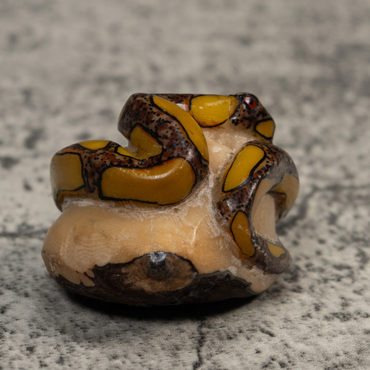 Yellow And Brown Snake Bushmaster Tagua Carving