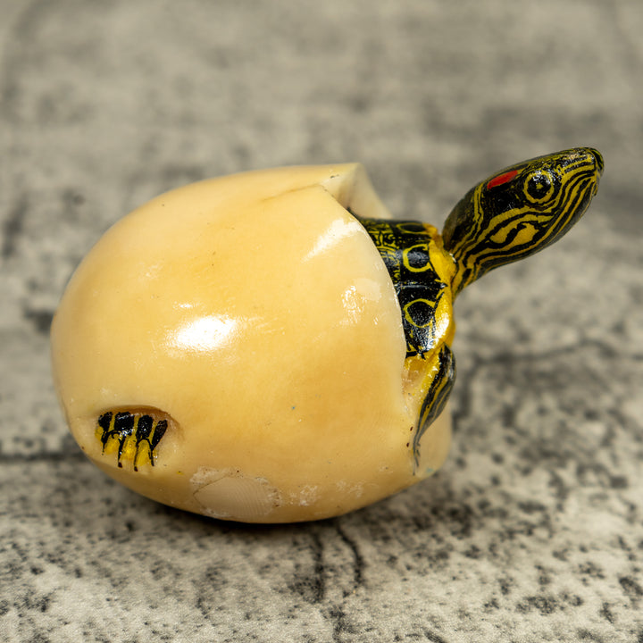 Tortoise Turtle Emerging From Egg Tagua Carving