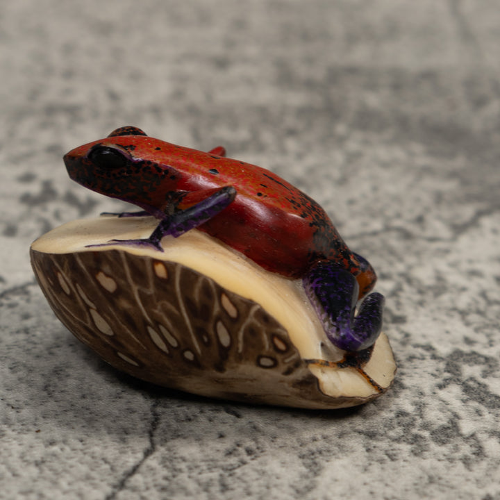 Red And Black Poison Dart Frog Frog Tagua Carving