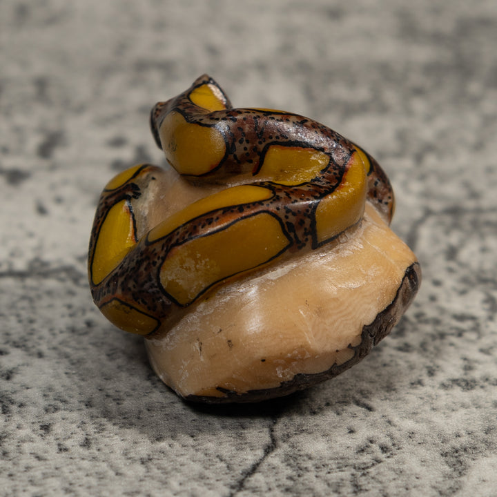 Yellow And Brown Snake Bushmaster Tagua Carving