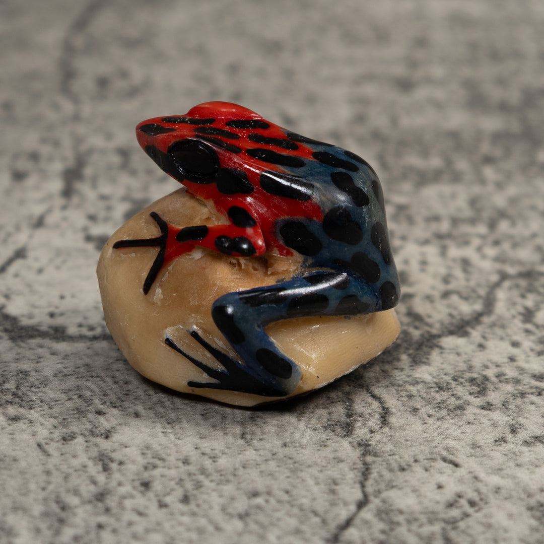 Vintage Red And Blue Poison Dart Frog Tagua Carving
