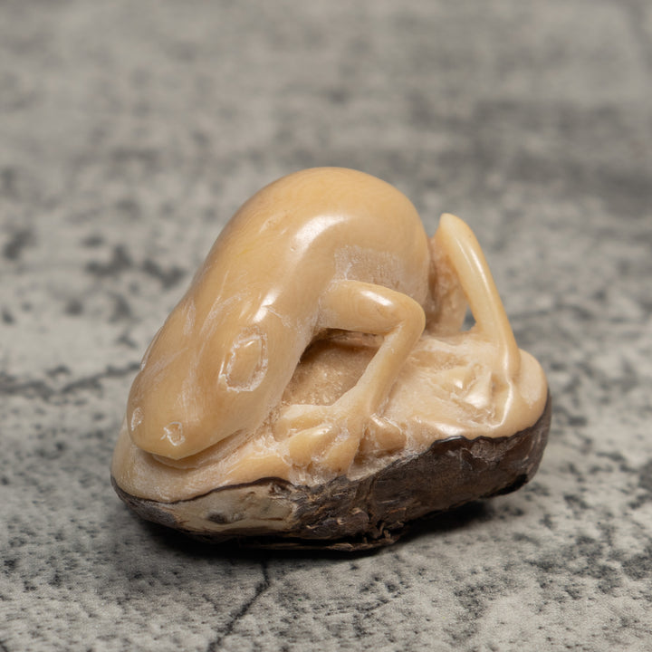 Vintage White Natural Frog Tagua Carving