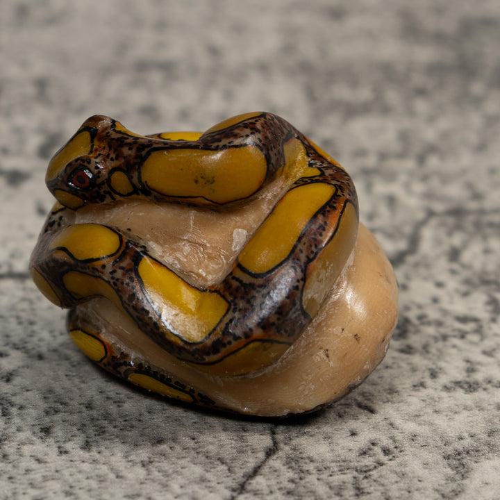 Yellow And Brown Snake Bushmaster Tagua Carving