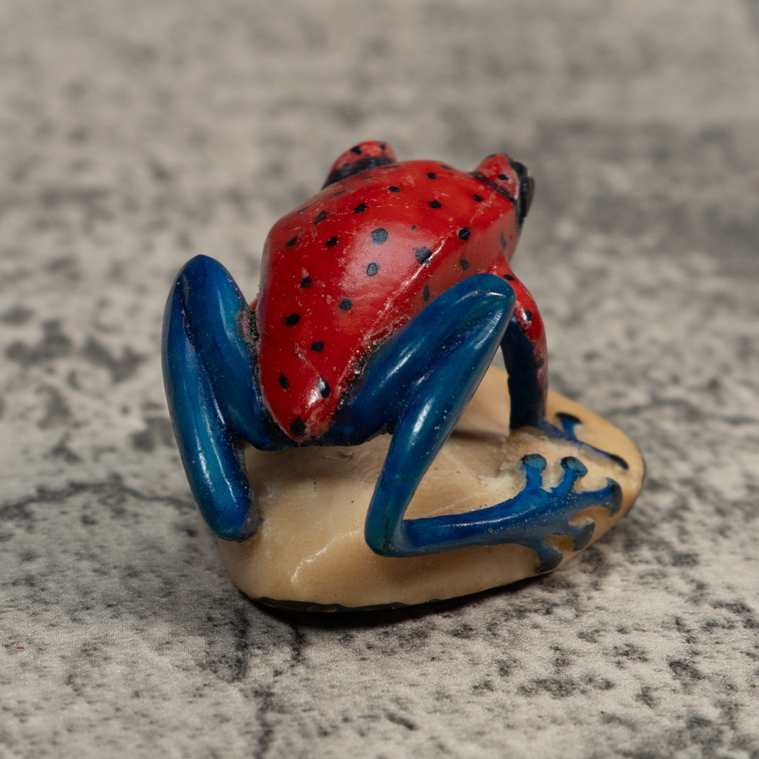 Red And Blue Undercut Poison Dart Frog Tagua Carving