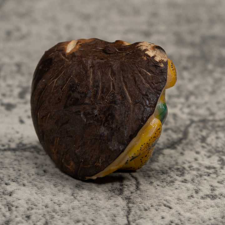 Vintage Yellow And Green Frog Tagua Carving