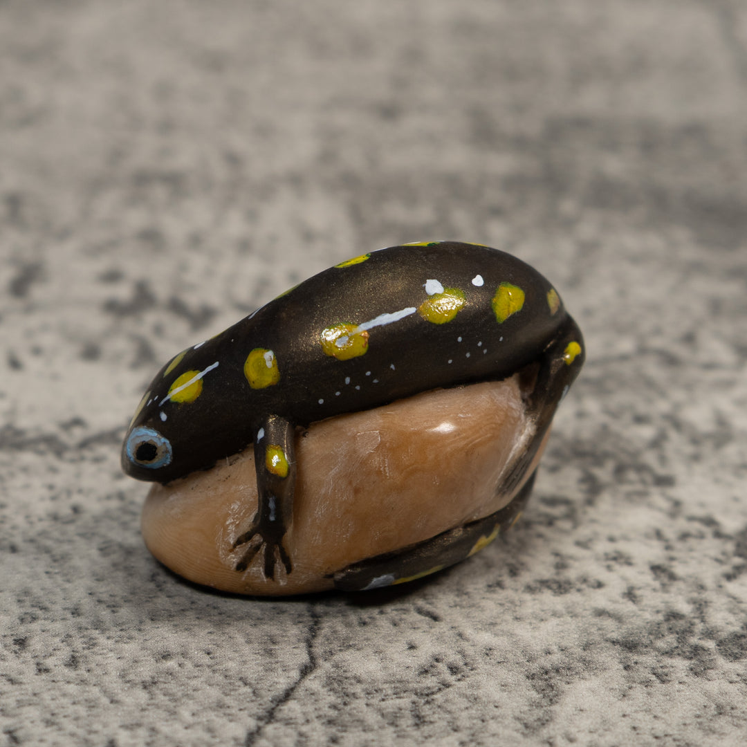Vintage Gecko Lizard Reptile Tagua Carving