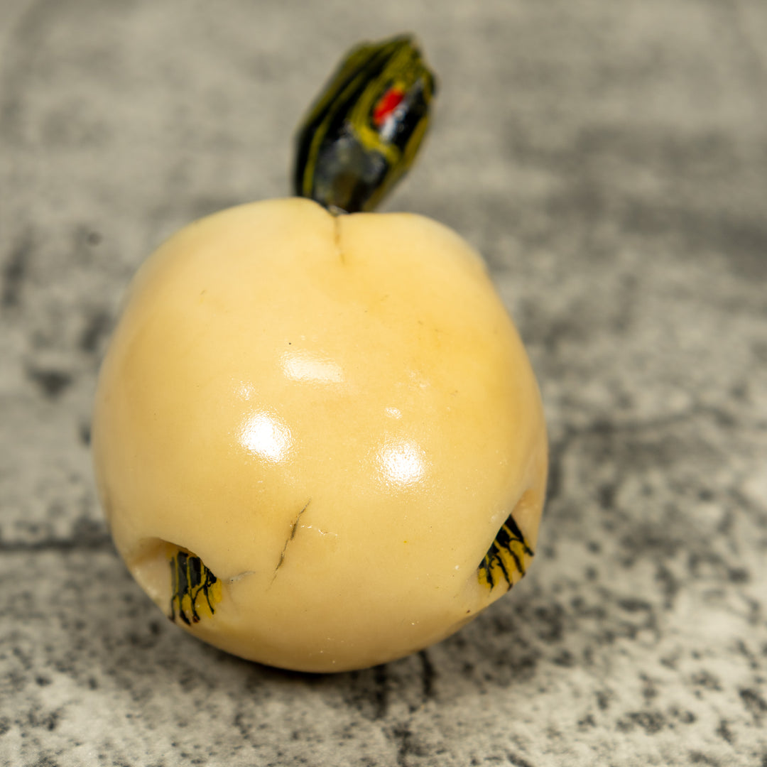 Tortoise Turtle Emerging From Egg Tagua Carving