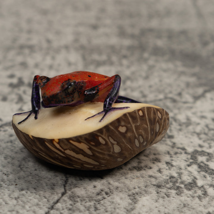 Red And Black Poison Dart Frog Frog Tagua Carving