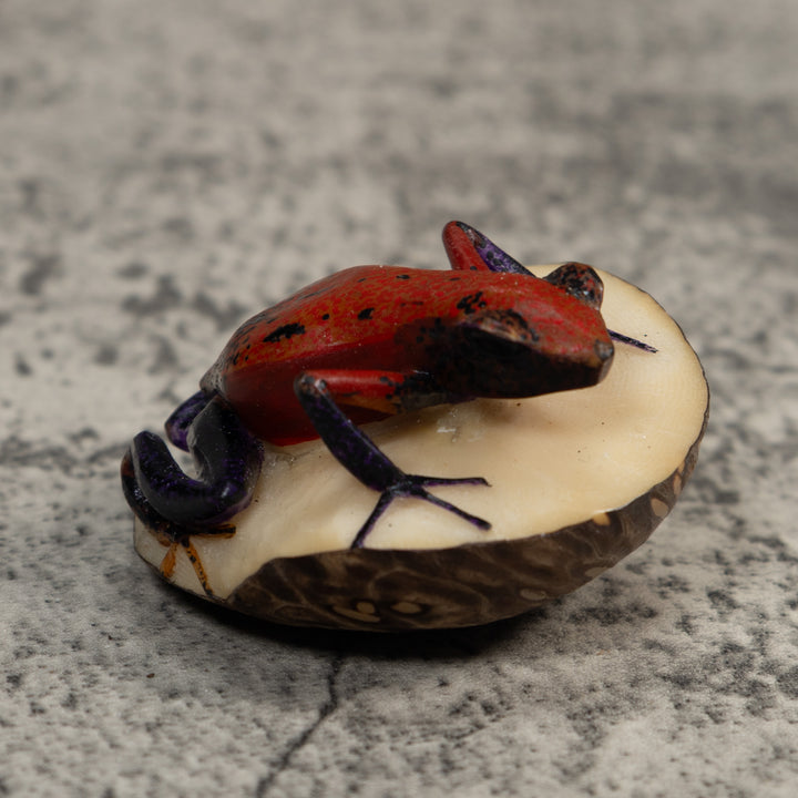 Red And Black Poison Dart Frog Frog Tagua Carving