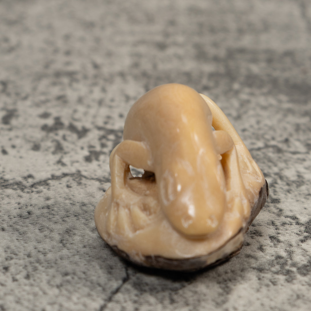 Vintage White Natural Frog Tagua Carving