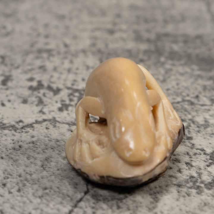 Vintage White Natural Frog Tagua Carving