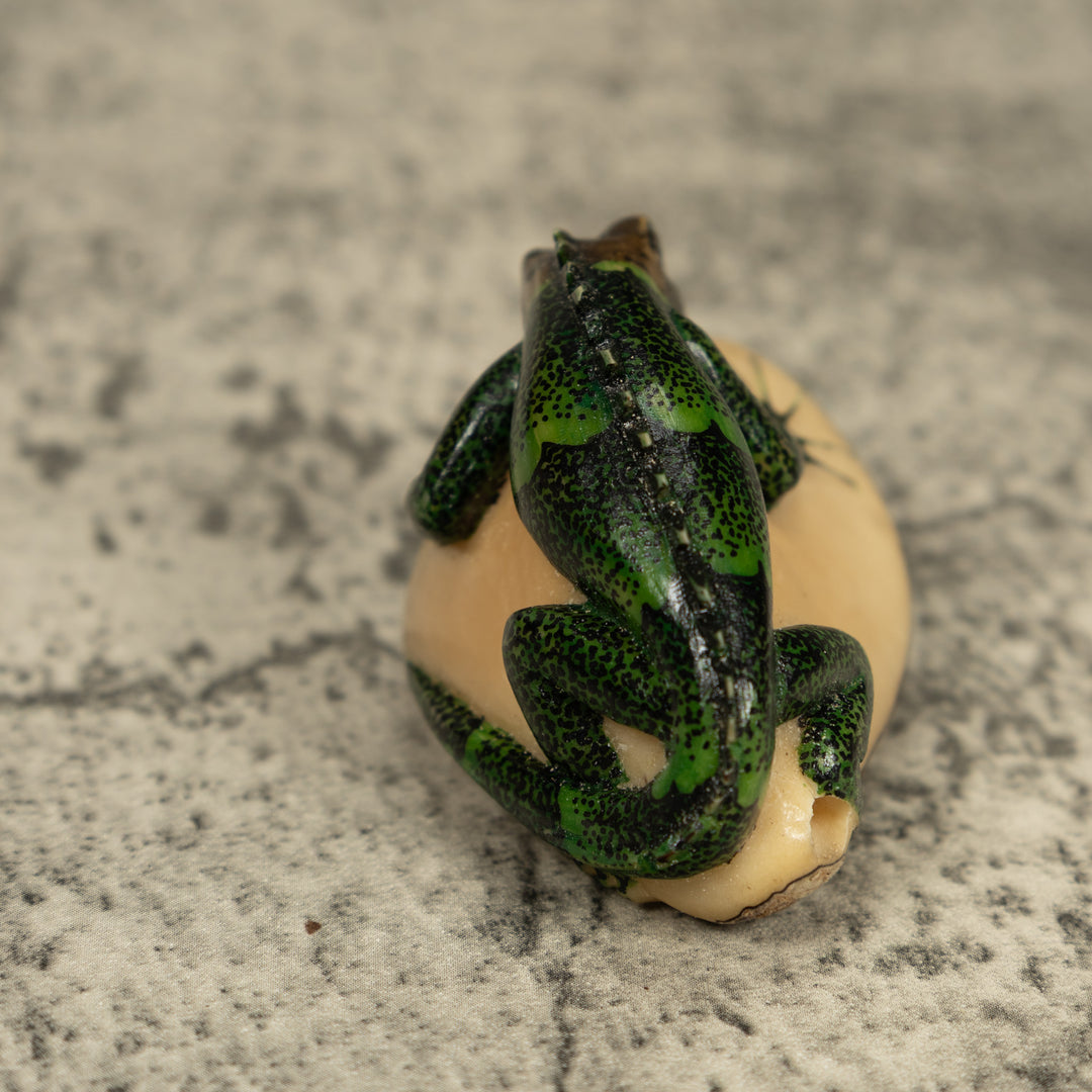 Dark Green Iguana Lizard Tagua Carving