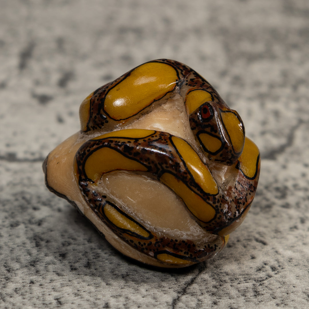 Yellow And Brown Snake Bushmaster Tagua Carving