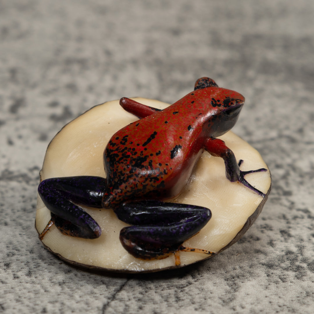 Red And Black Poison Dart Frog Frog Tagua Carving