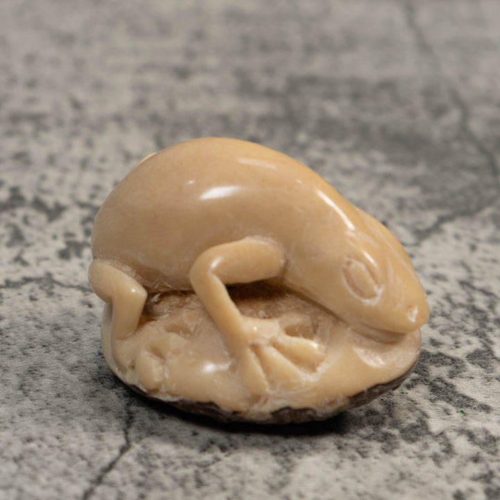 Vintage White Natural Frog Tagua Carving