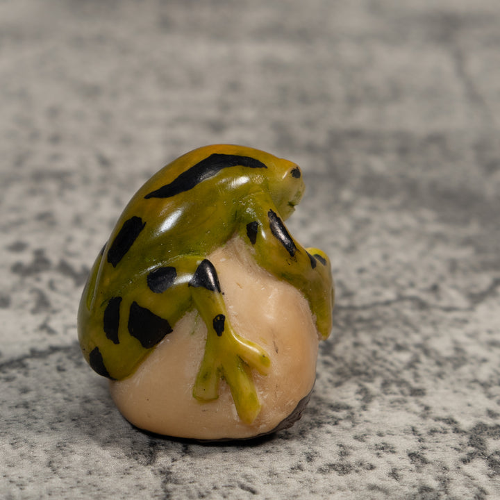 Vintage Green And Black Poison Dart Frog Tagua Carving