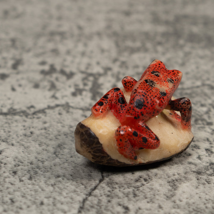 Vintage Red And Black Poison Dart Frog Tagua Carving