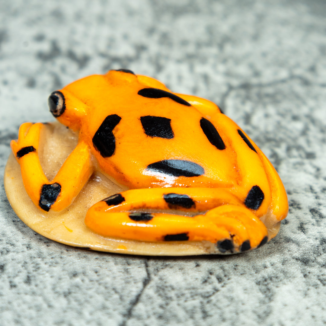 Golden Frog Tagua Carving