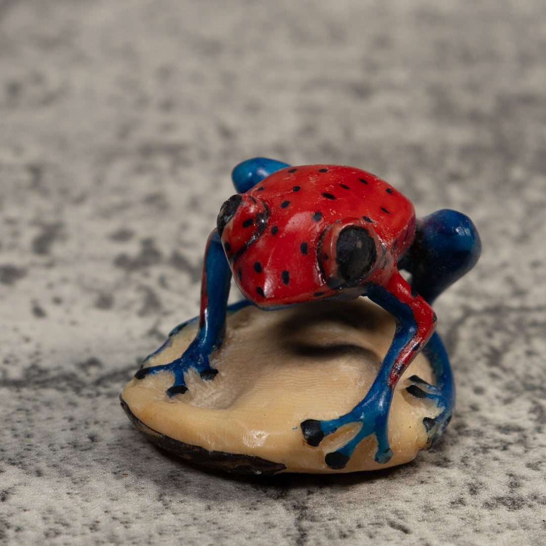 Red And Blue Undercut Poison Dart Frog Tagua Carving